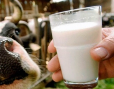 Технические условия на молоко и молочную продукцию.