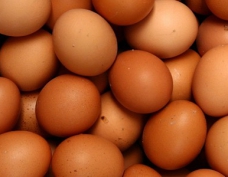 Технические условия пищевых яиц
