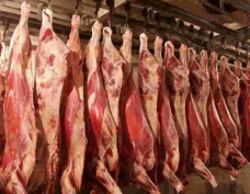 Сертификация мясной продукции с Компанией «Астелс»